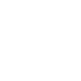 Die Lösung Icon