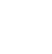 Die Lösung Icon
